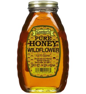 Wild Flower GUNTER Honey 16 oz x 12